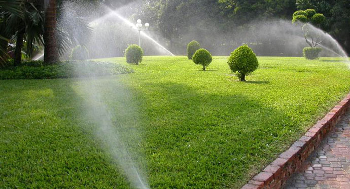 El agua en el jardín :: Revista Mandu'a - Información, opinión y